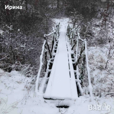 Къща, пчелин и двор с големи дървета, снимка 11 - Парцели - 51394109