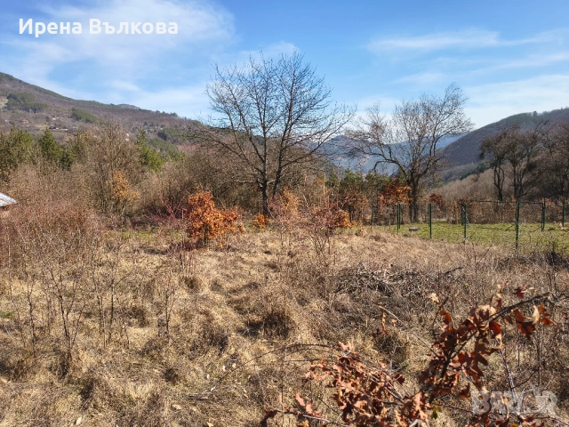 ПРОДАВА СЕ: Панорамен парцел в регулация – в.з. "Герова леска", с. Свидня, снимка 5 - Парцели - 53683788