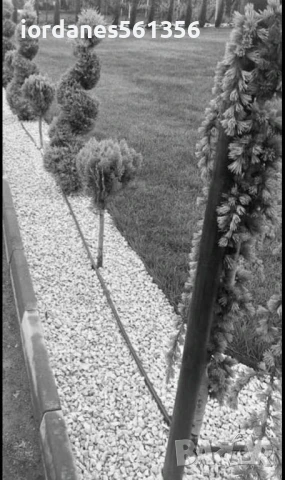 Бял Чакъл от Бял Камък за украса и Декорация на градинки дворни площи, снимка 10 - Градински мебели, декорация  - 50778044