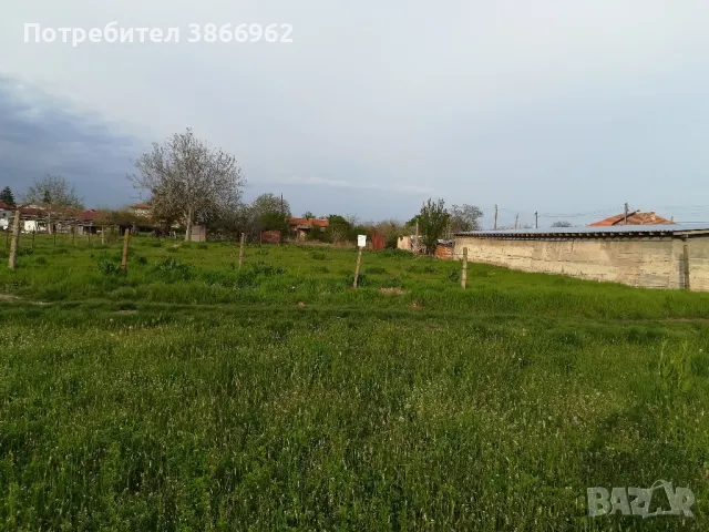 Нива / земя  под наем, снимка 5 - Парцели - 47280508