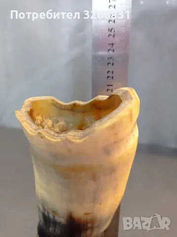 ваза от естествен рог, снимка 3 - Вази - 48023514