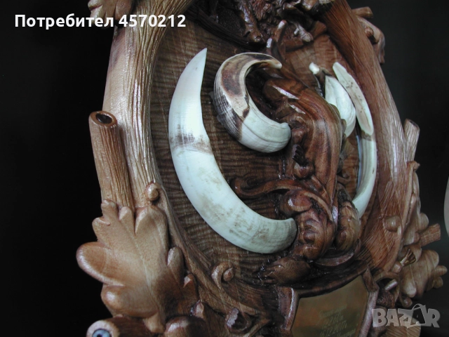 Поставка за трофей от диво прасе, Дървена поставка за трофей, Дъска за трофей от глиган, снимка 3 - Декорация за дома - 52140889