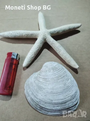 Океански дарове.