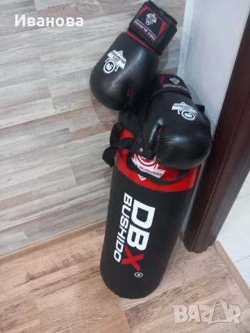 Боксова круша Нова, снимка 2 - Бокс - 53620638