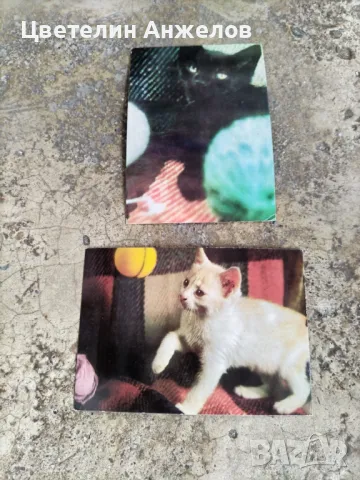 Стари картички и пликове за писма, снимка 7 - Колекции - 48921853