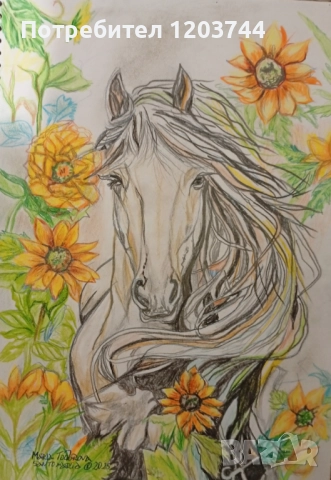 Картини 🐎коне,цветя🌺, портрети✨ НОВО✨, снимка 5 - Картини - 52526267