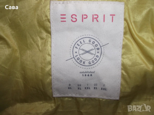 Елек ESPRIT  дамски,Л-ХЛ