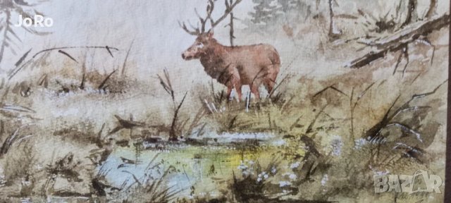 "Горско утро" прекрасен акварел , снимка 4 - Картини - 50558067