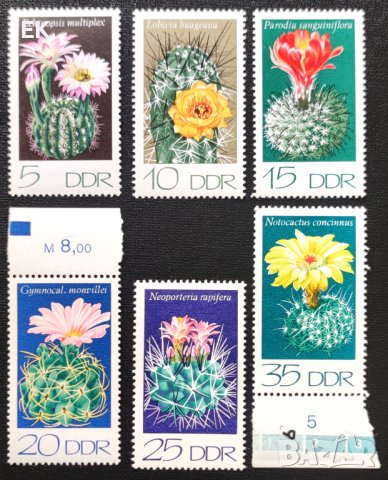 ГДР, 1974 г. - пълна серия чисти марки, кактуси, 4*10, снимка 1 - Филателия - 44457144