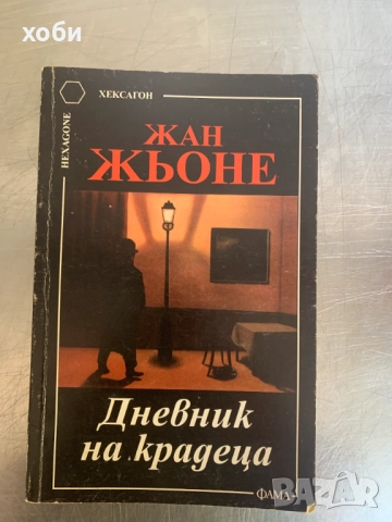 Жан Жьоне: Дневник на крадеца 