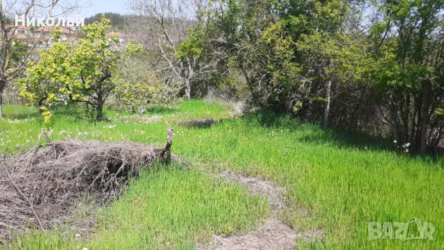 ПАРЦЕЛ Николово, снимка 1
