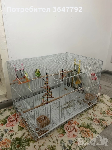 Два папагала в комплект с две клетки