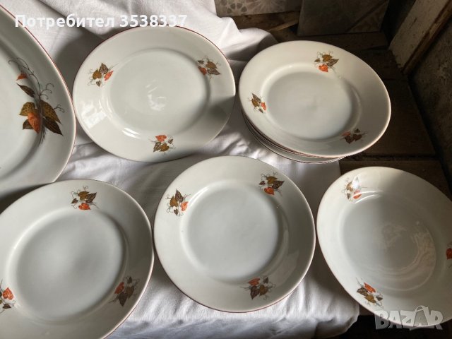 Голяма чиния/ плато с 6 малки чинии, есенни листа на Дянко Стефанов, ретро порцелан, снимка 5 - Сервизи - 39581837