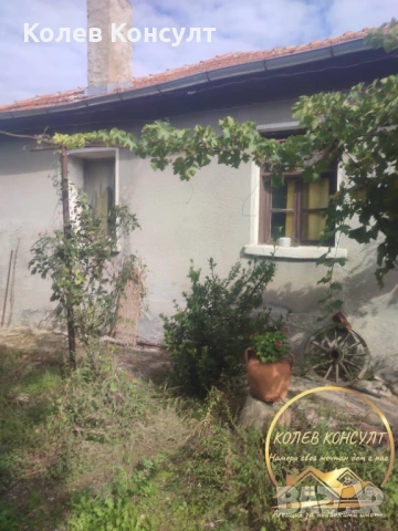 Къща село Преславец, снимка 8 - Къщи - 53597884