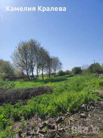 с.Селановци Продавам урегулиран парцел, снимка 3 - Парцели - 47039471