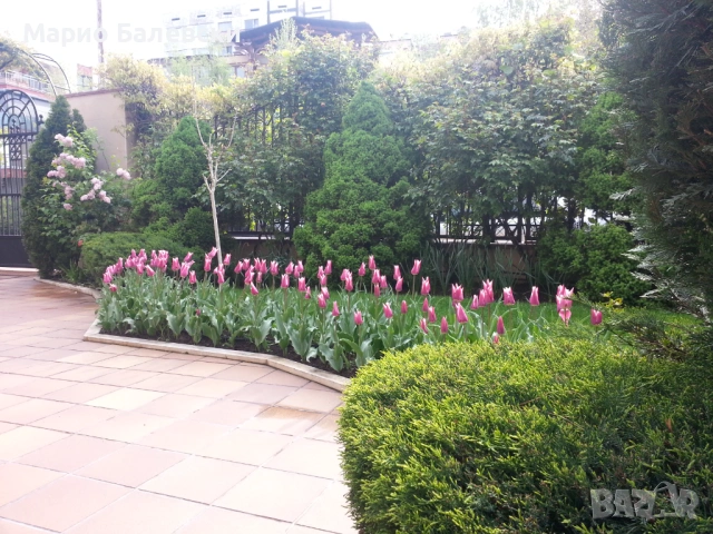 Озеленяване и поддръжка на градини , снимка 4 - Други - 53493481