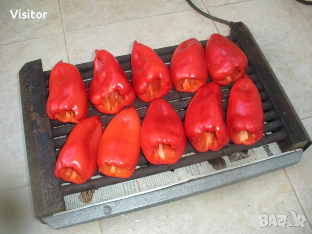 фотоапарат Sanyo Vpc E10ex   10МРх, снимка 12 - Фотоапарати - 51513394