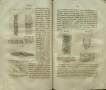 Животньiе паразитьi и болезни Э. К. Брандтъ /1873/, снимка 5