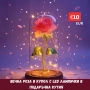Вечна Роза в Купол с LED лампички в подаръчна кутия, снимка 1