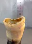 ваза от естествен рог, снимка 3