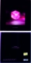 Оригинален албум  на попгрупата  BLACKPINK - "Square Up". , снимка 4