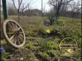 едноетажна къща село Сталево , снимка 4