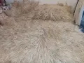 Продавам Родопско Халище, снимка 1