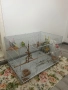 Два папагала в комплект с две клетки, снимка 1