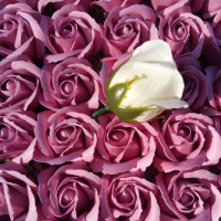Сапунени рози, снимка 6 - Изкуствени цветя - 35947886