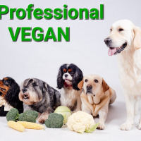 K9 Professional Веганска храна за кучета без ГЛУТЕН, снимка 2 - За кучета - 36328366
