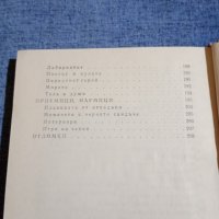 Артур Лундквист - Замъкът на въображението и камъните на делника , снимка 8 - Художествена литература - 42677977