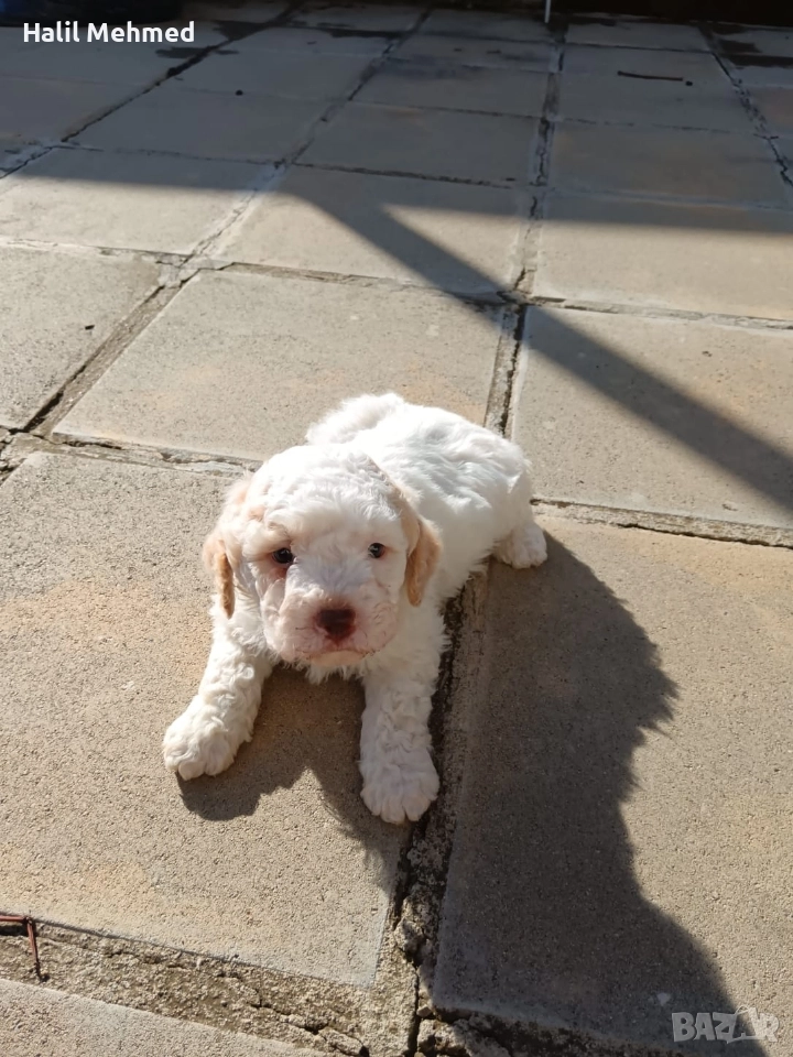 Лагото Романьоло, снимка 1