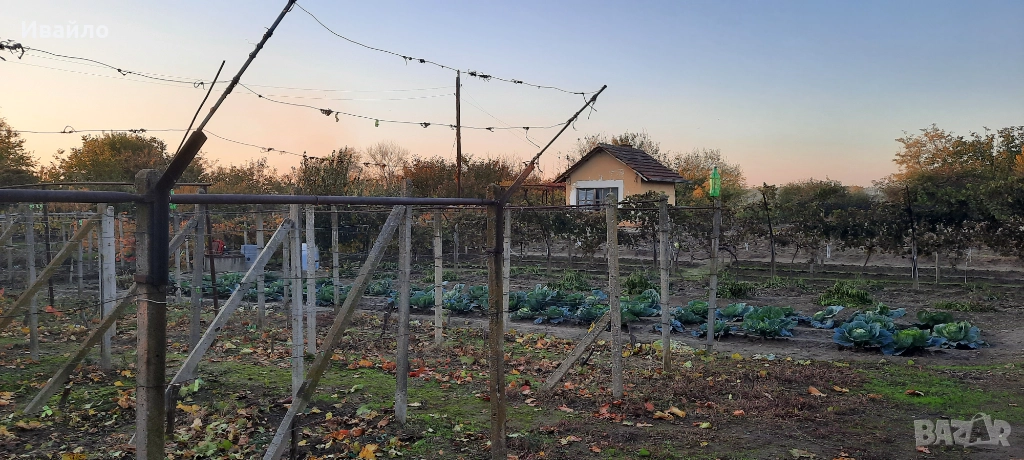 Циментови колци, колове за ограда, лозе, градина., снимка 1