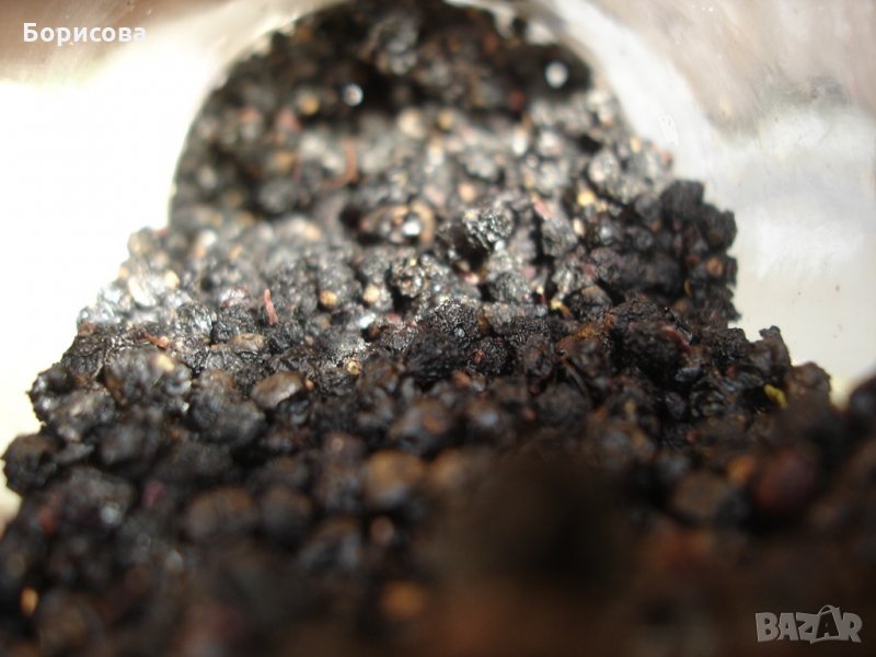 Продавам сушен бъзак , снимка 1