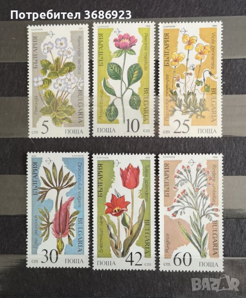  България  Застрашени растения-1989г. , снимка 1