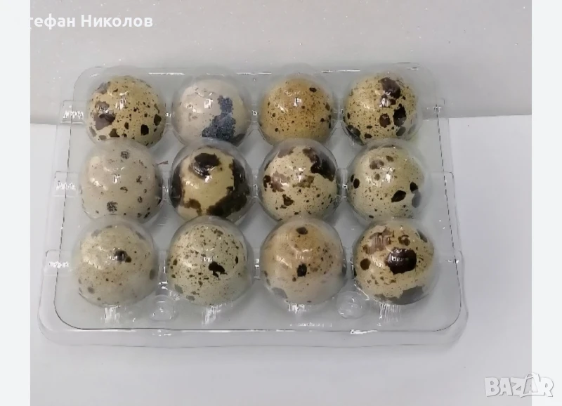 Пъдпъдъчи яйца 3лв кутията 12бр. в кутия , снимка 1
