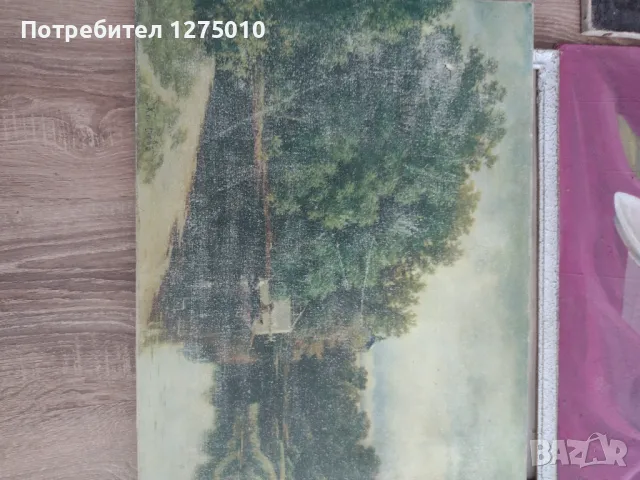 Стара картина , снимка 4 - Картини - 48495608