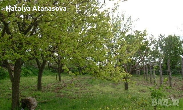 Купете новия си имот в анклава на Ведрина!, снимка 3 - Къщи - 28141058