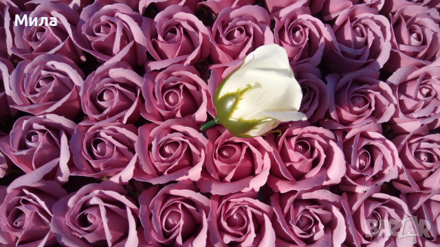 Сапунени рози, снимка 5 - Изкуствени цветя - 35947886