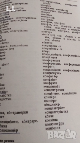 Правописен речник на българския език , снимка 2 - Специализирана литература - 52108158
