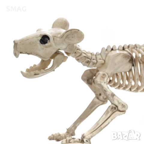 Halloween / Хелоуин реалистичен скелет на мишка – декорация 20см_1207607, снимка 2 - Декорация за дома - 52008662
