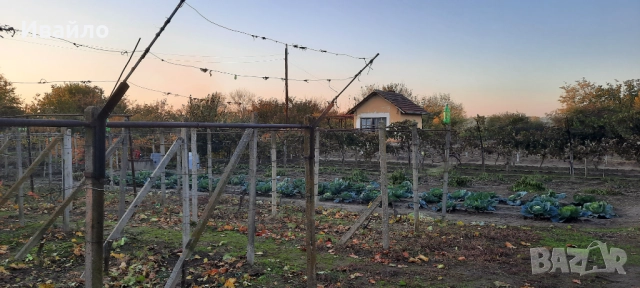 Циментови колци, колове за ограда, лозе, градина.