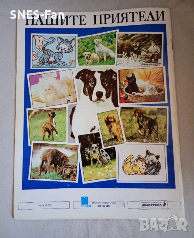 Албум Panini - Домашни животни, снимка 6 - Колекции - 53870434