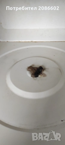 Микровълнова NEO, снимка 3 - Микровълнови - 53594084