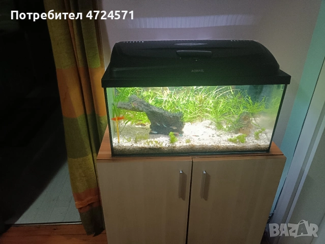 аквариум със рибки 