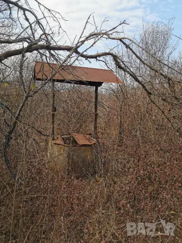 7  декара и 2 вили в Садовете гр.Лом, снимка 7 - Вили - 48773745