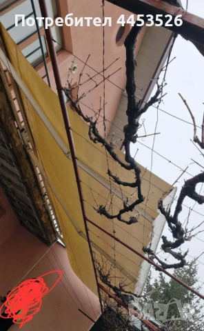 Продавам тента! , снимка 10 - Други стоки за дома - 53695178