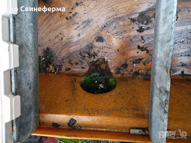 Повдигнат бокс свине майки лактиращи/млекарски/ - раждане и бозайници. , снимка 3 - Други машини и части - 51878240