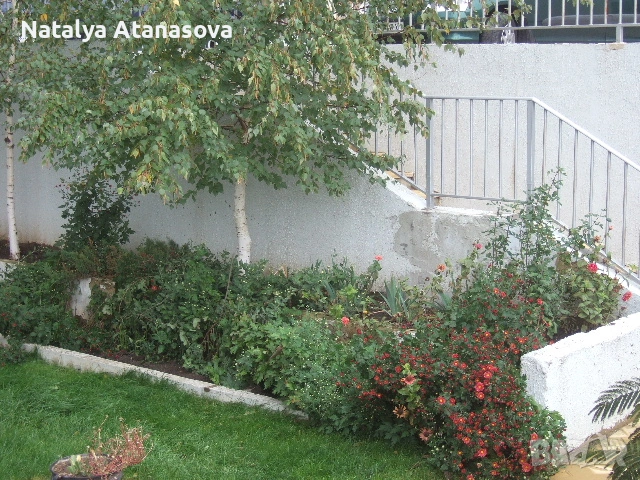 Център, гр. Балчик, снимка 3 - Апартаменти - 53635402