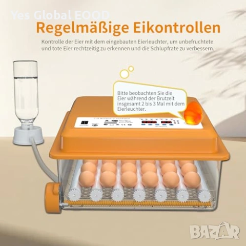 Chalixion инкубатор за 36 яйца автоматичен, снимка 7 - Друга електроника - 53443627